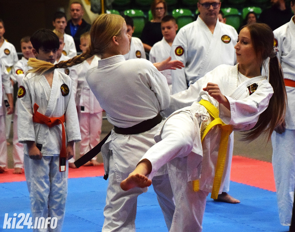 Puchar Polski Kenjutsu - Kobudo