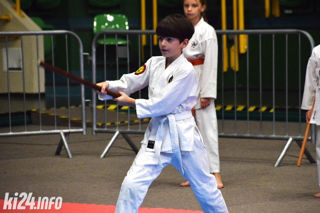 Puchar Polski Kenjutsu - Kobudo