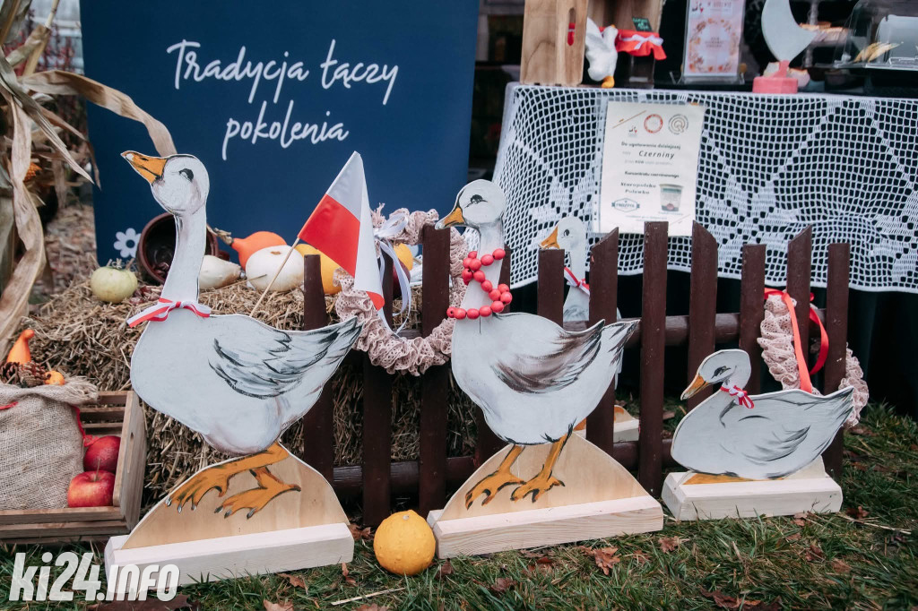 Festiwal Gęsi w Łojewie