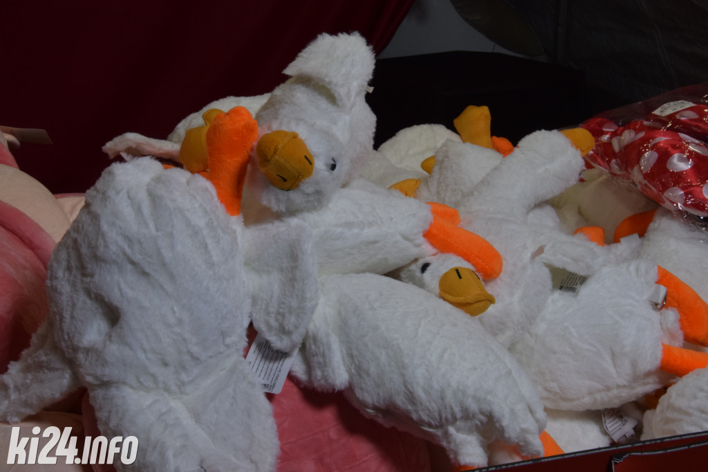 Festyn z gęsiną w tle