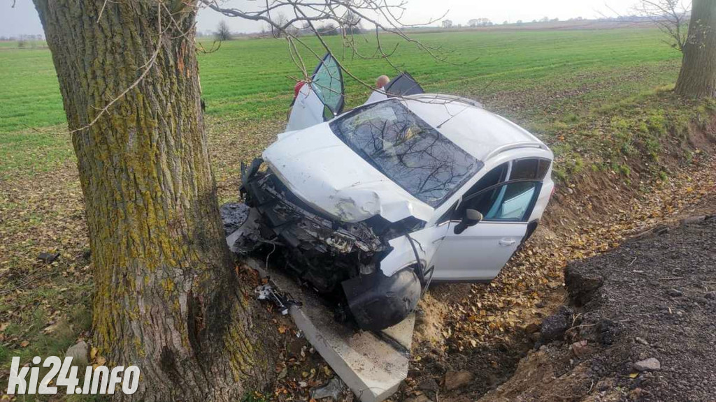 Uderzyła fordem w drzewo