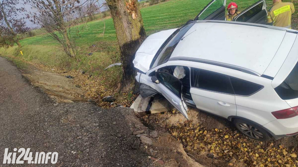 Uderzyła fordem w drzewo