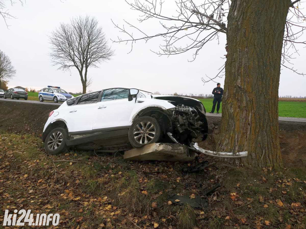 Uderzyła fordem w drzewo