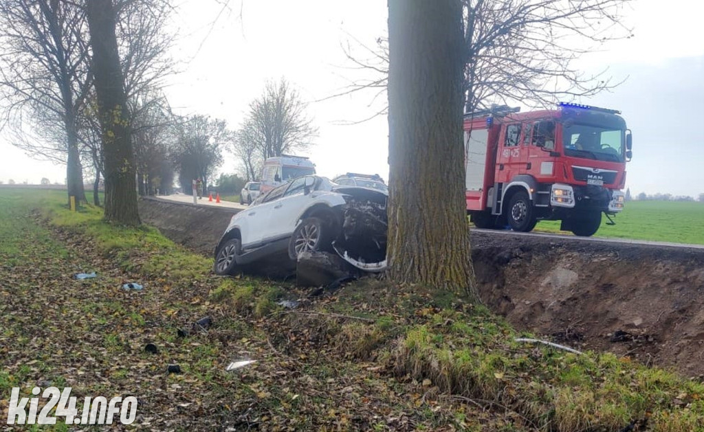 Uderzyła fordem w drzewo