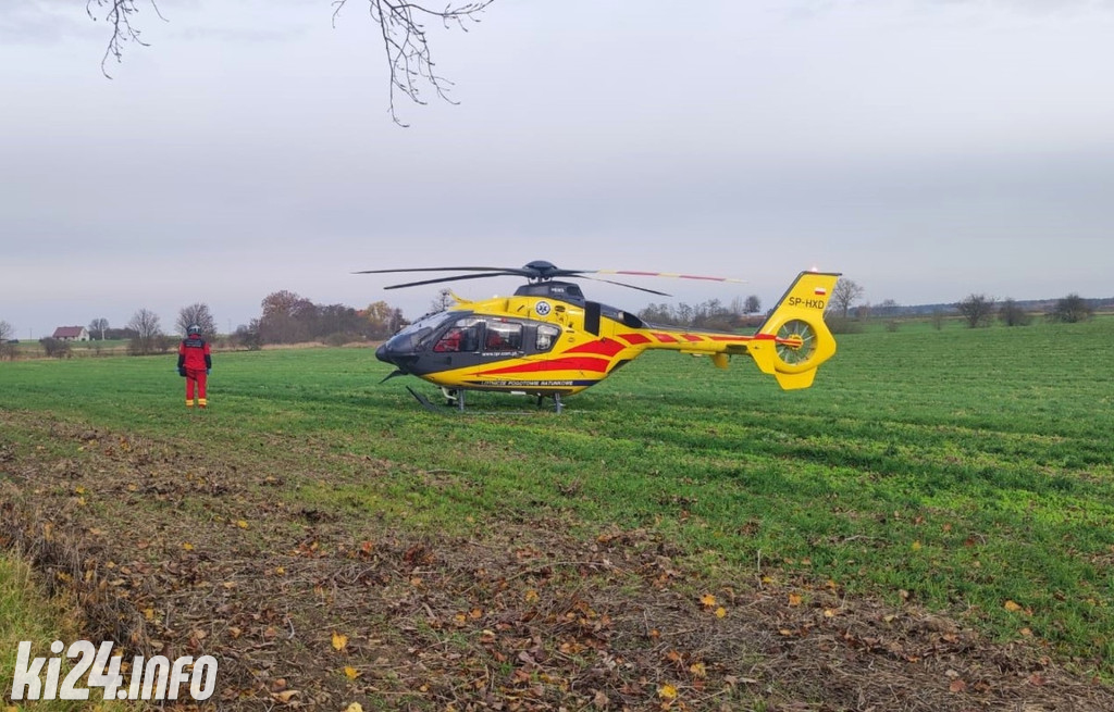 Uderzyła fordem w drzewo