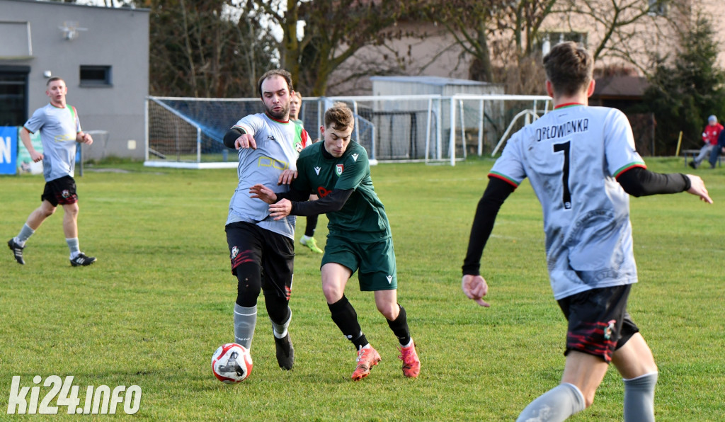 Orłowianka Orłowo - Dąb Barcin