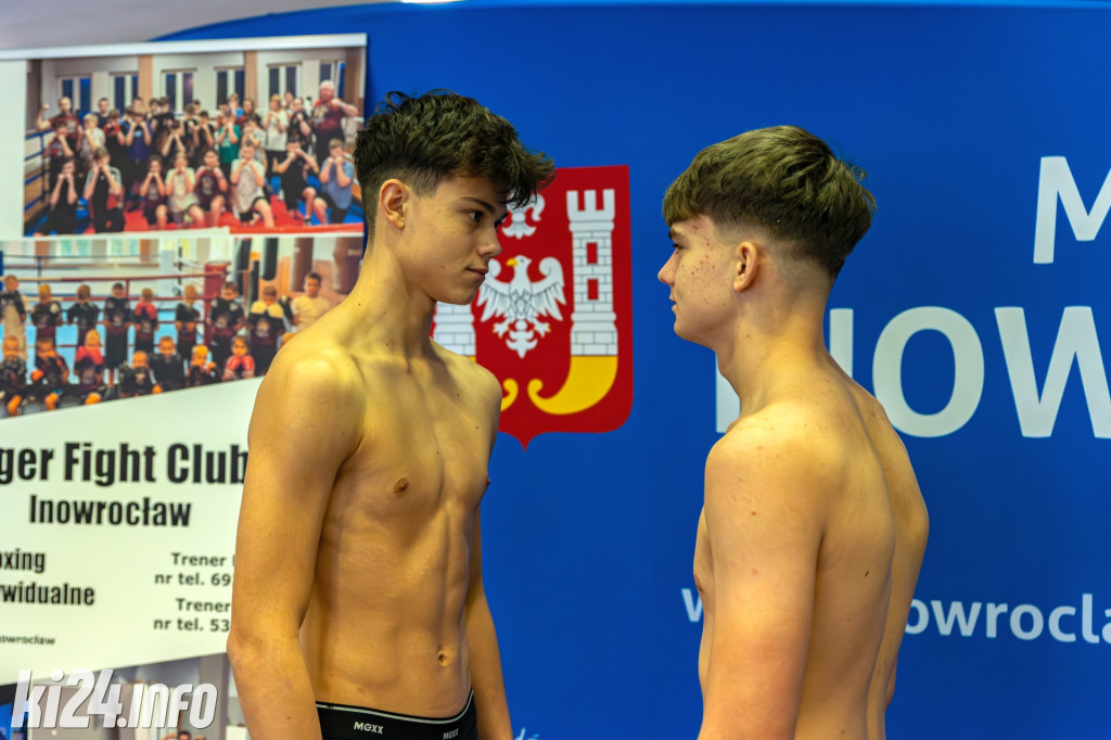 Tiger Fight Cup vol. I