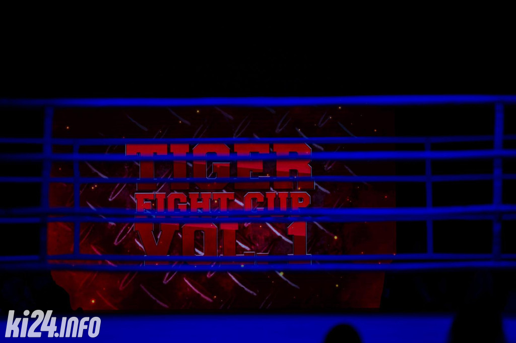 Tiger Fight Cup vol. I