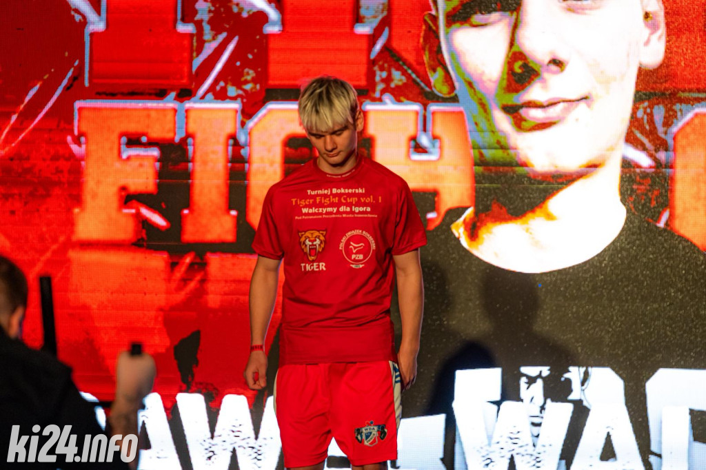 Tiger Fight Cup vol. I