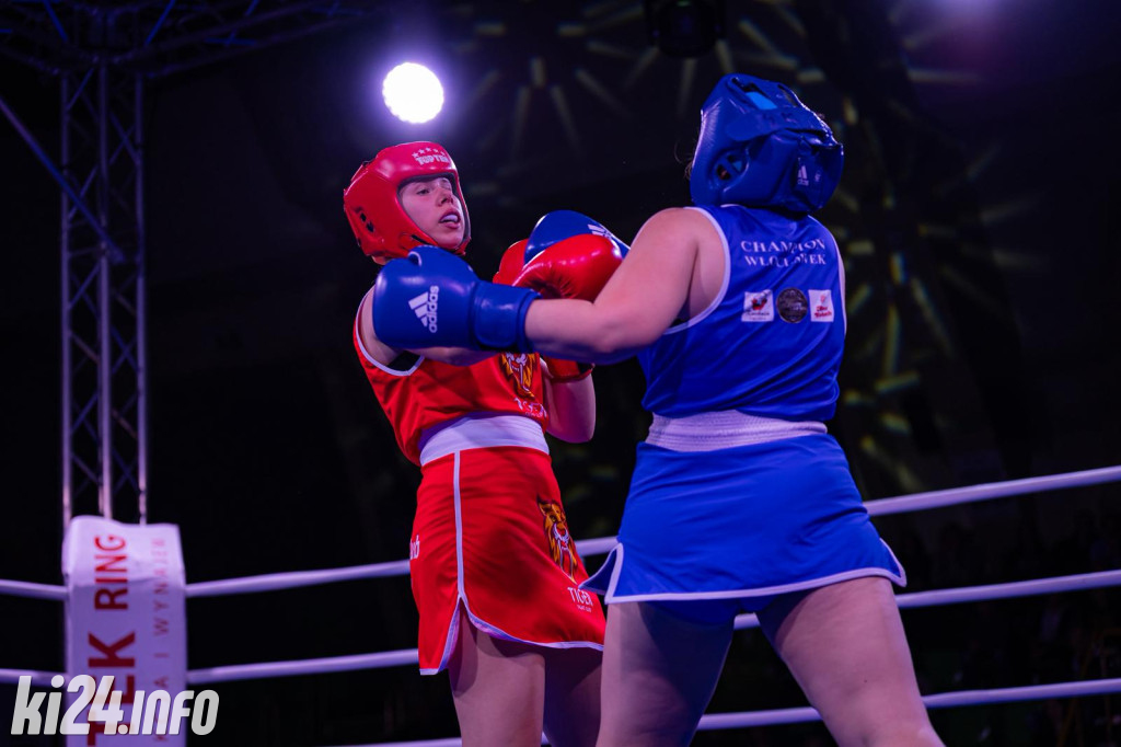 Tiger Fight Cup vol. I