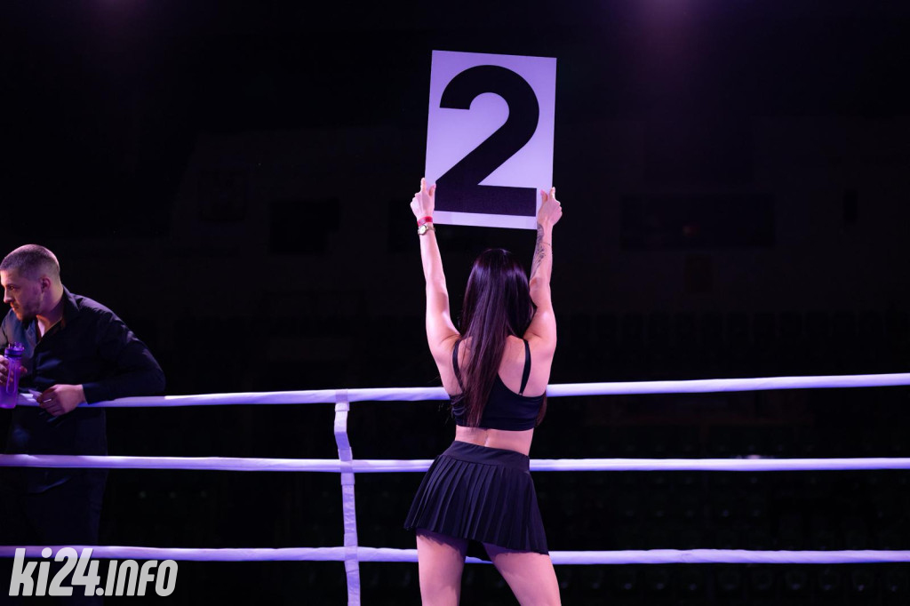 Tiger Fight Cup vol. I