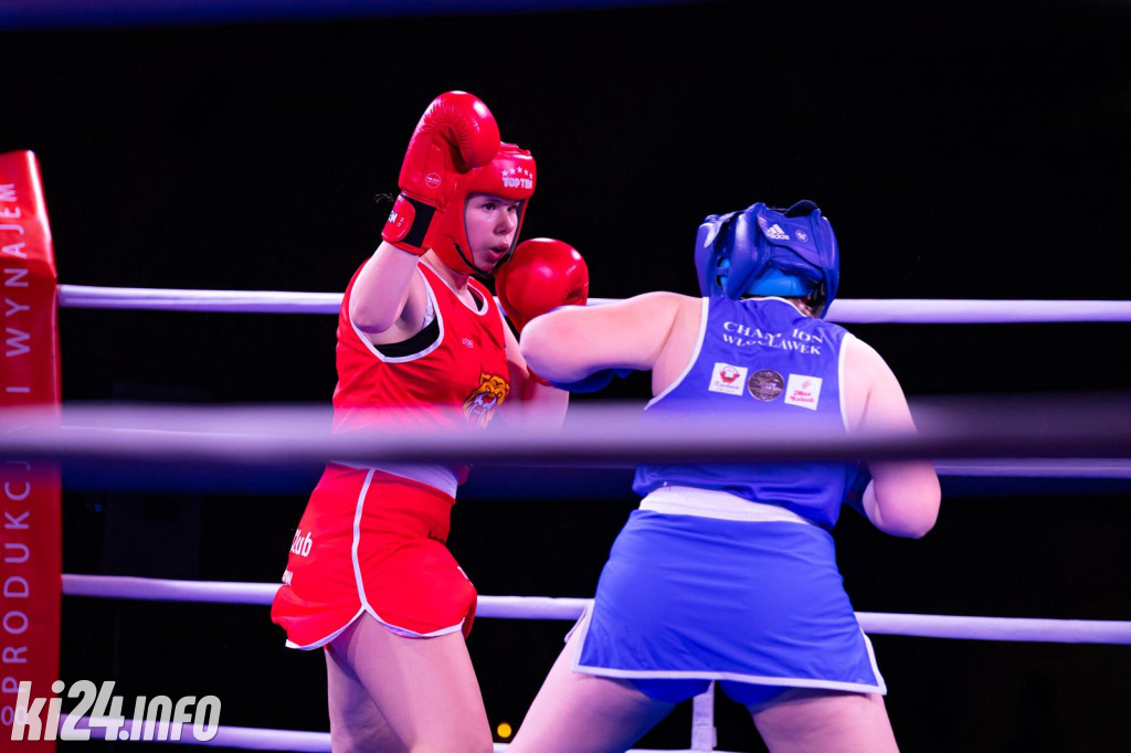 Tiger Fight Cup vol. I