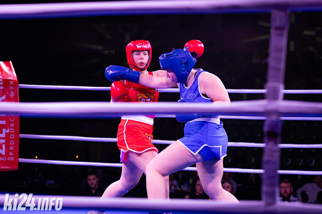 Tiger Fight Cup vol. I