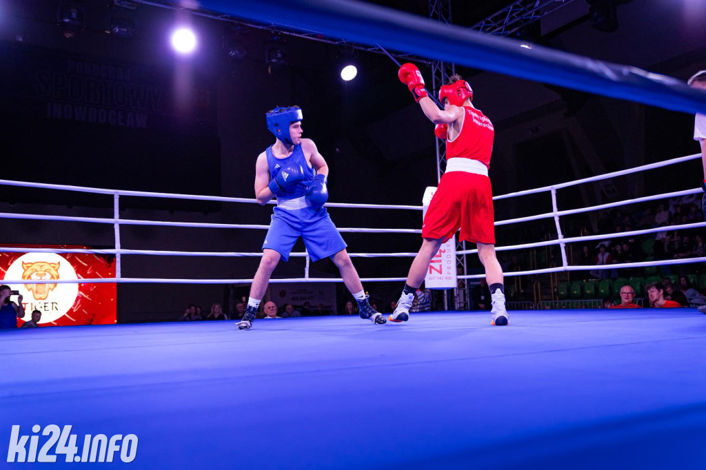 Tiger Fight Cup vol. I