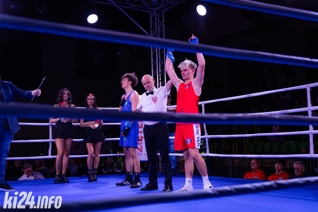 Tiger Fight Cup vol. I