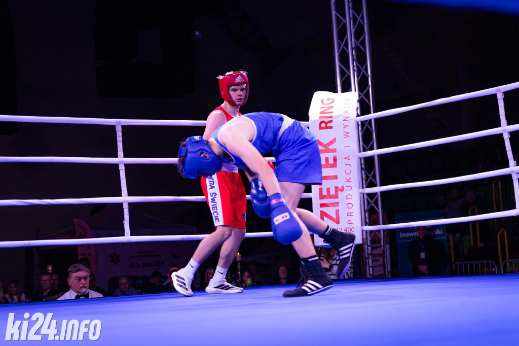 Tiger Fight Cup vol. I