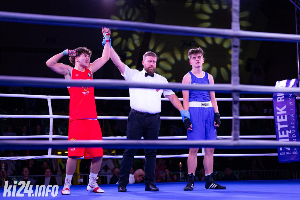 Tiger Fight Cup vol. I