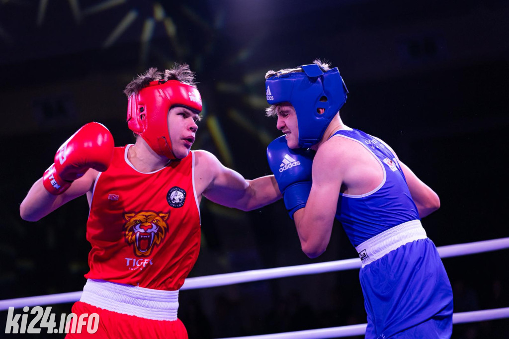 Tiger Fight Cup vol. I