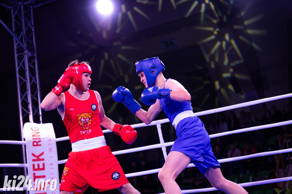 Tiger Fight Cup vol. I