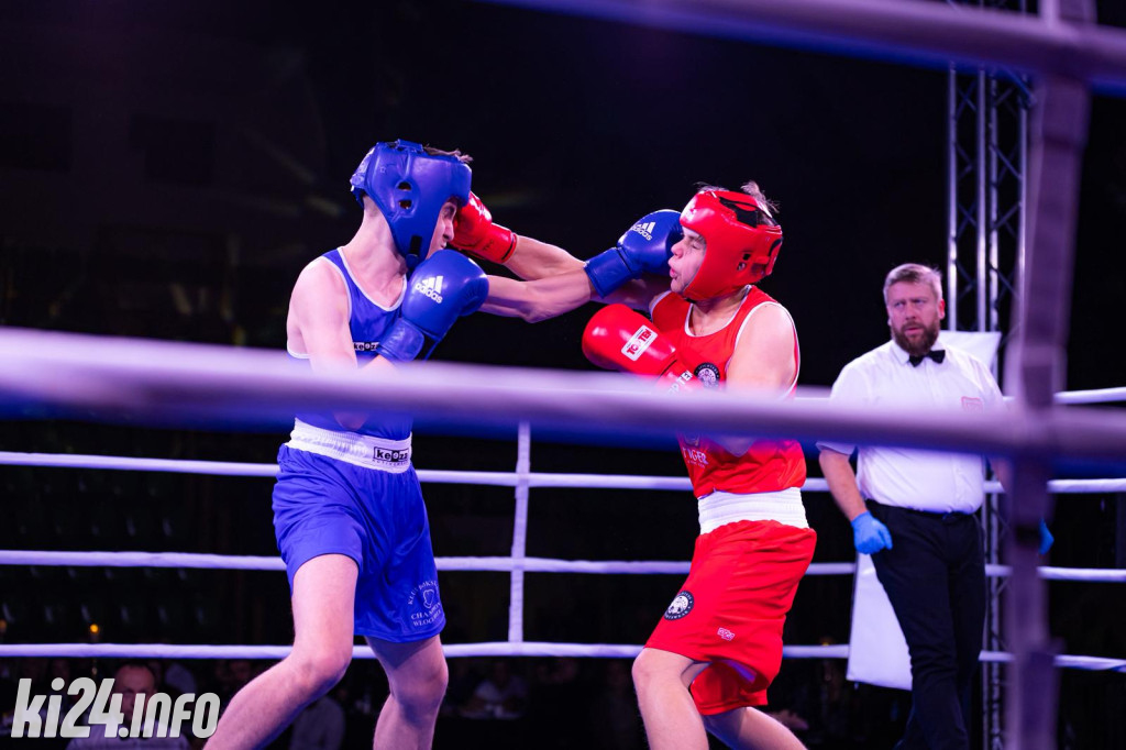 Tiger Fight Cup vol. I