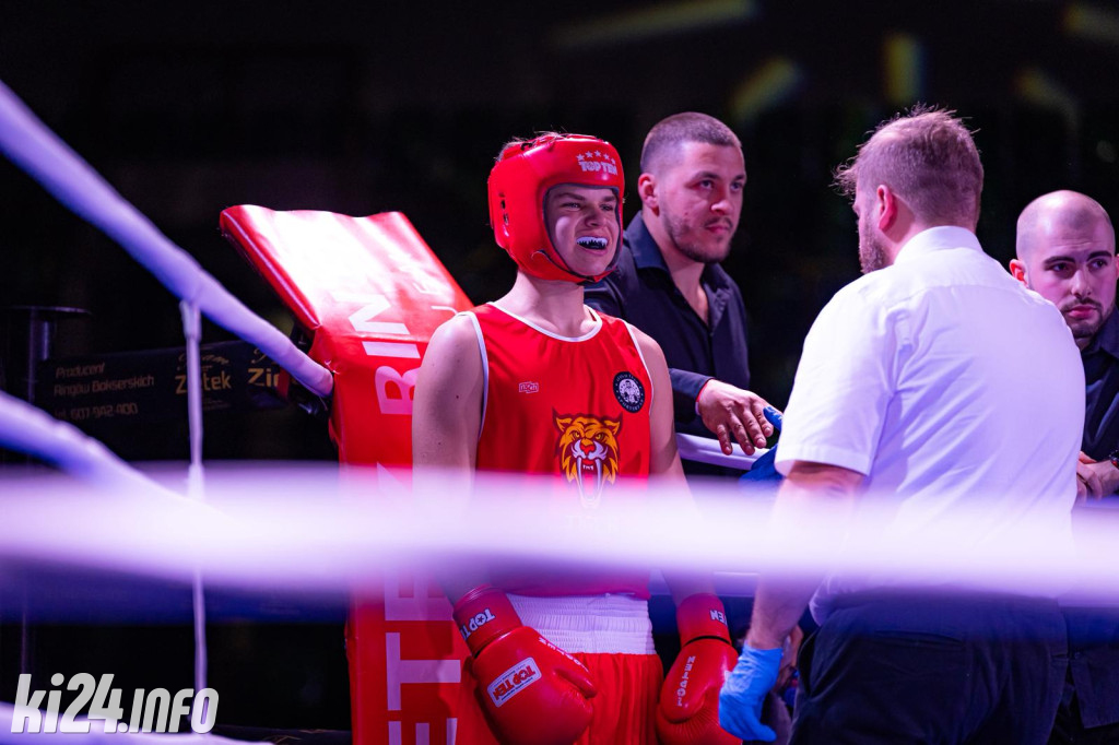 Tiger Fight Cup vol. I