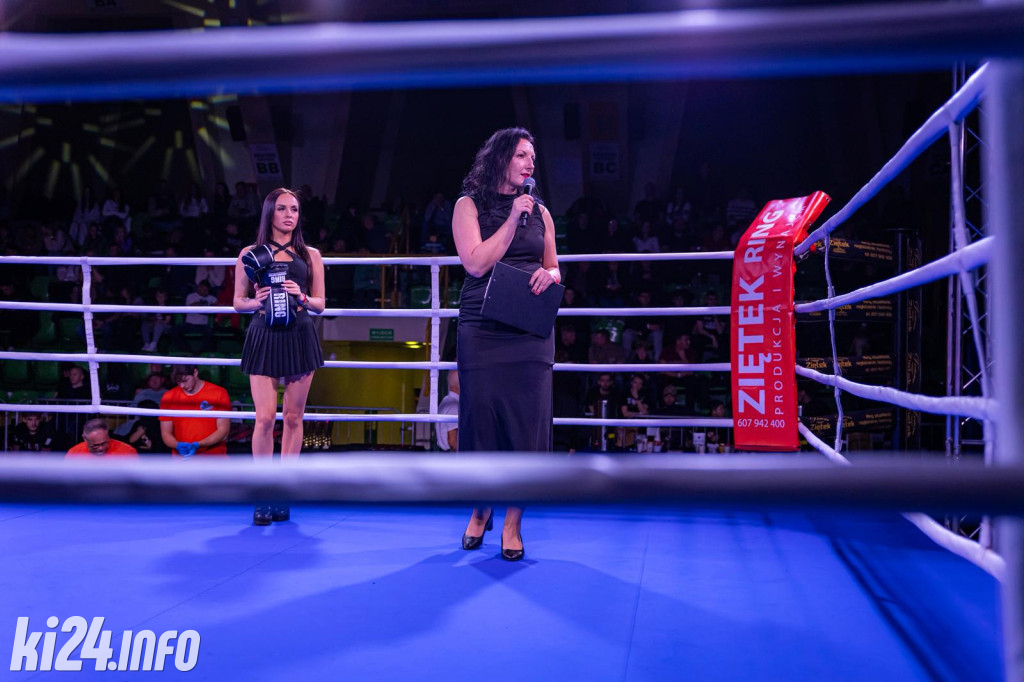 Tiger Fight Cup vol. I