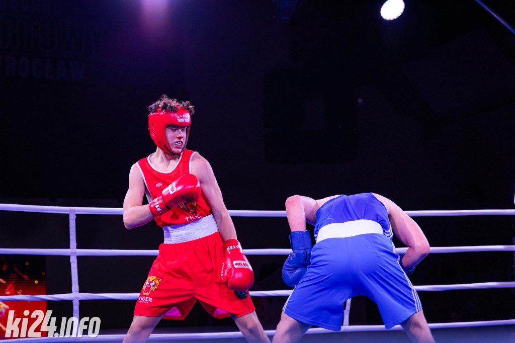 Tiger Fight Cup vol. I