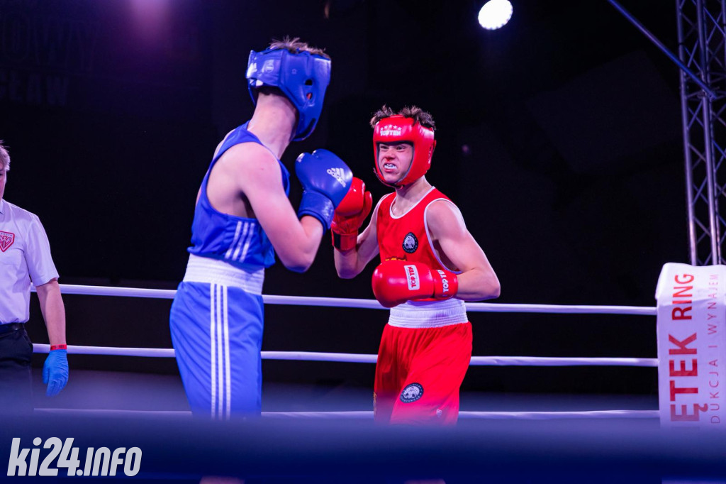 Tiger Fight Cup vol. I