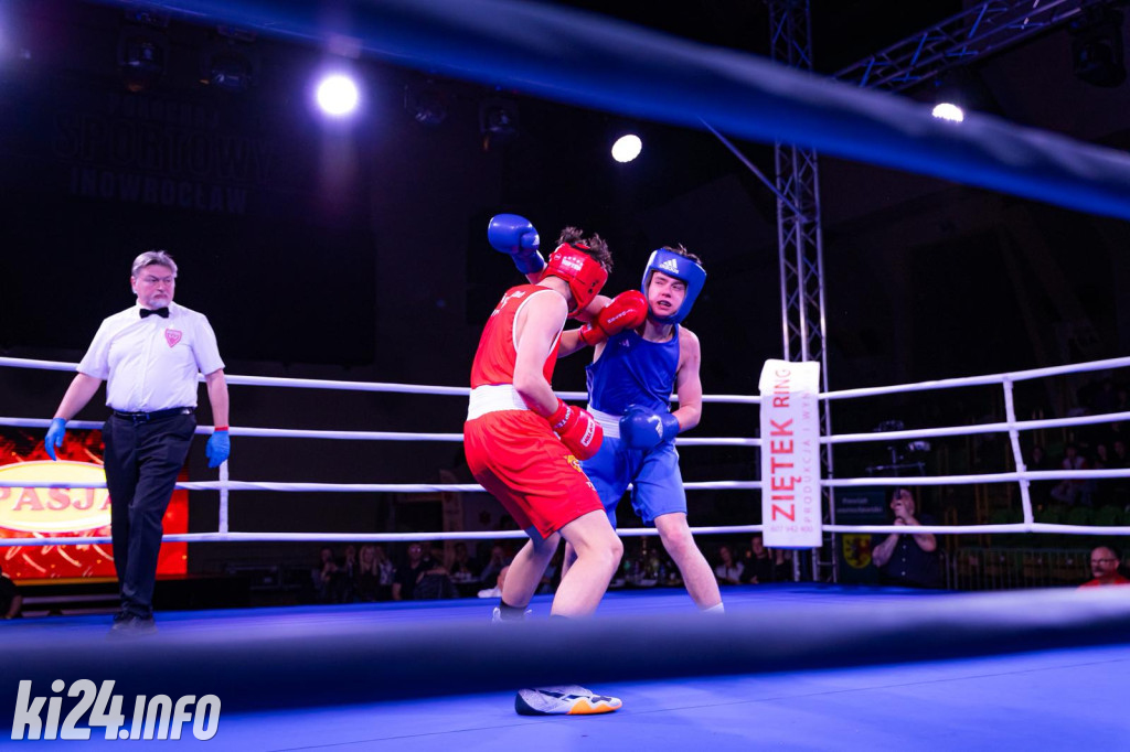 Tiger Fight Cup vol. I