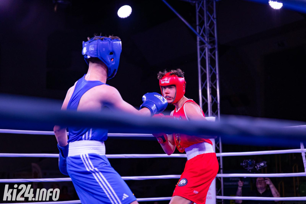 Tiger Fight Cup vol. I