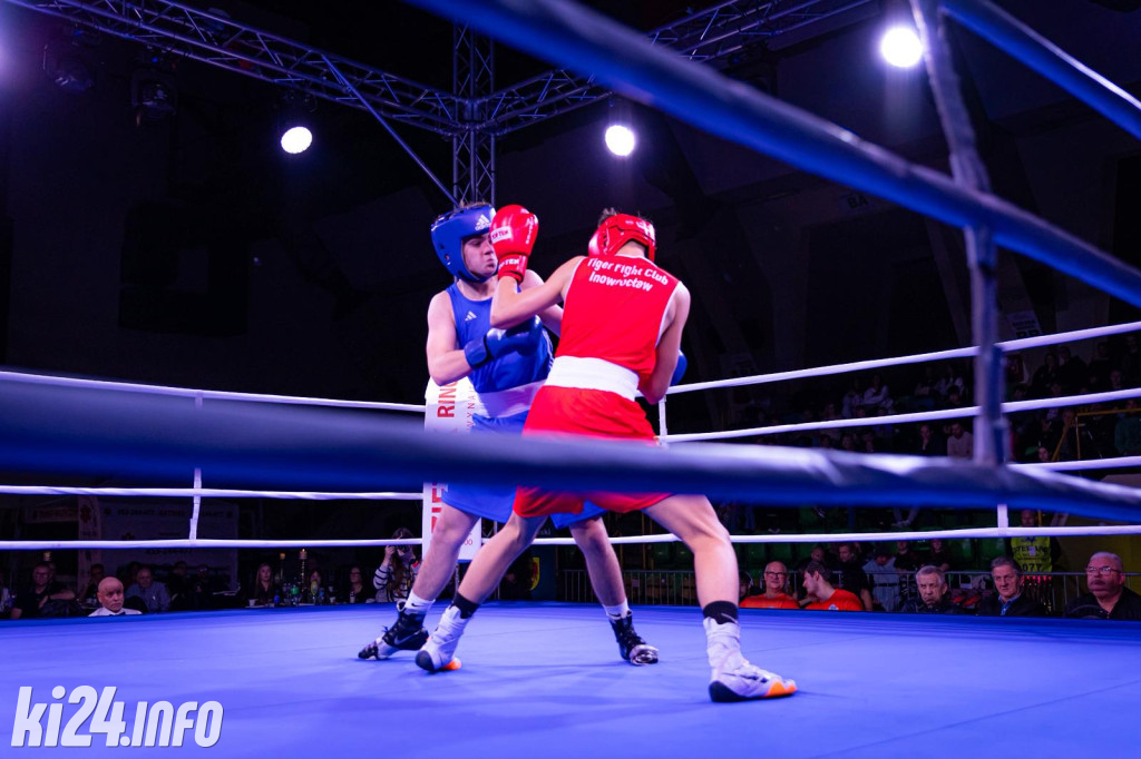 Tiger Fight Cup vol. I