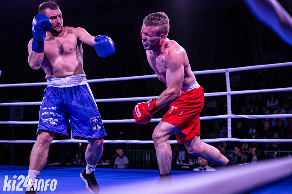 Tiger Fight Cup vol. I