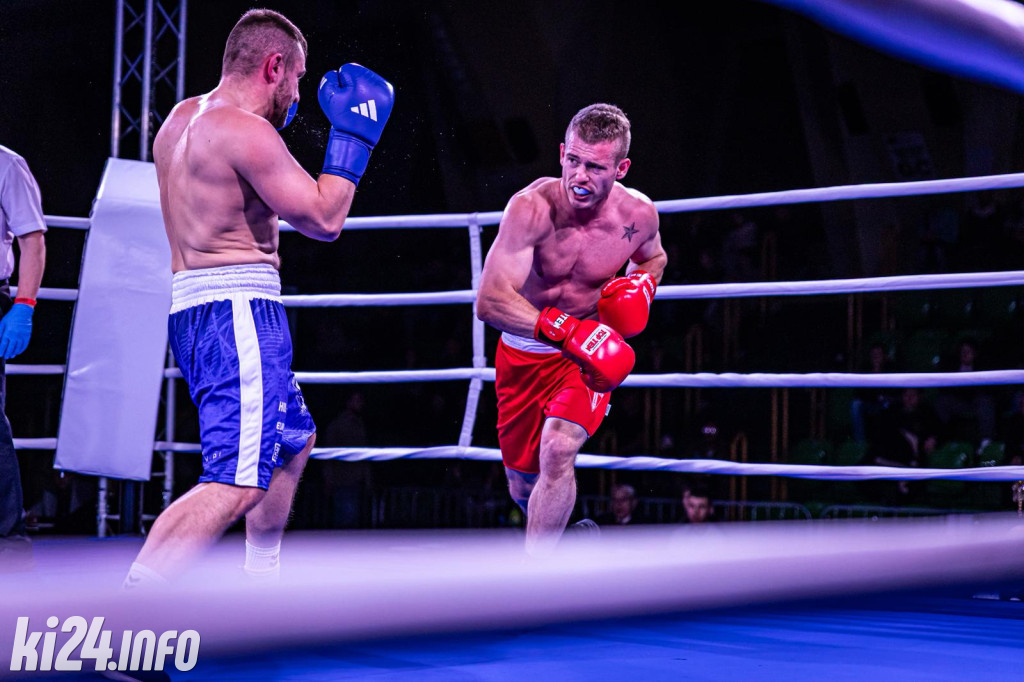 Tiger Fight Cup vol. I