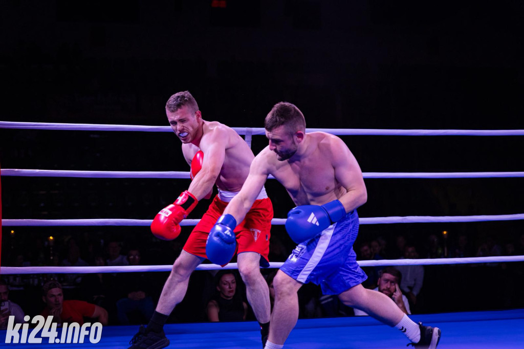 Tiger Fight Cup vol. I