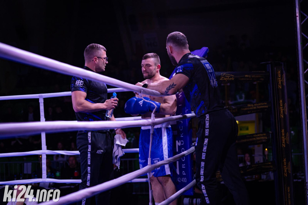 Tiger Fight Cup vol. I