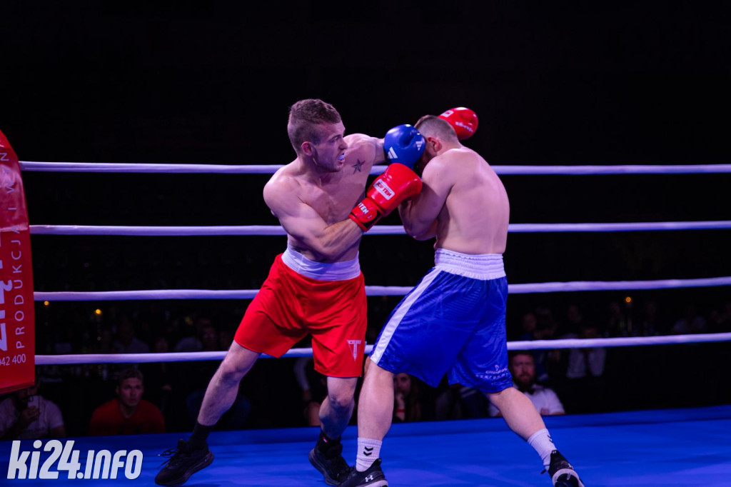 Tiger Fight Cup vol. I