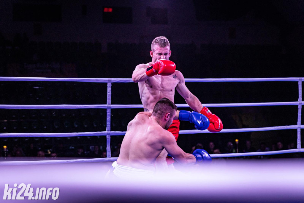 Tiger Fight Cup vol. I