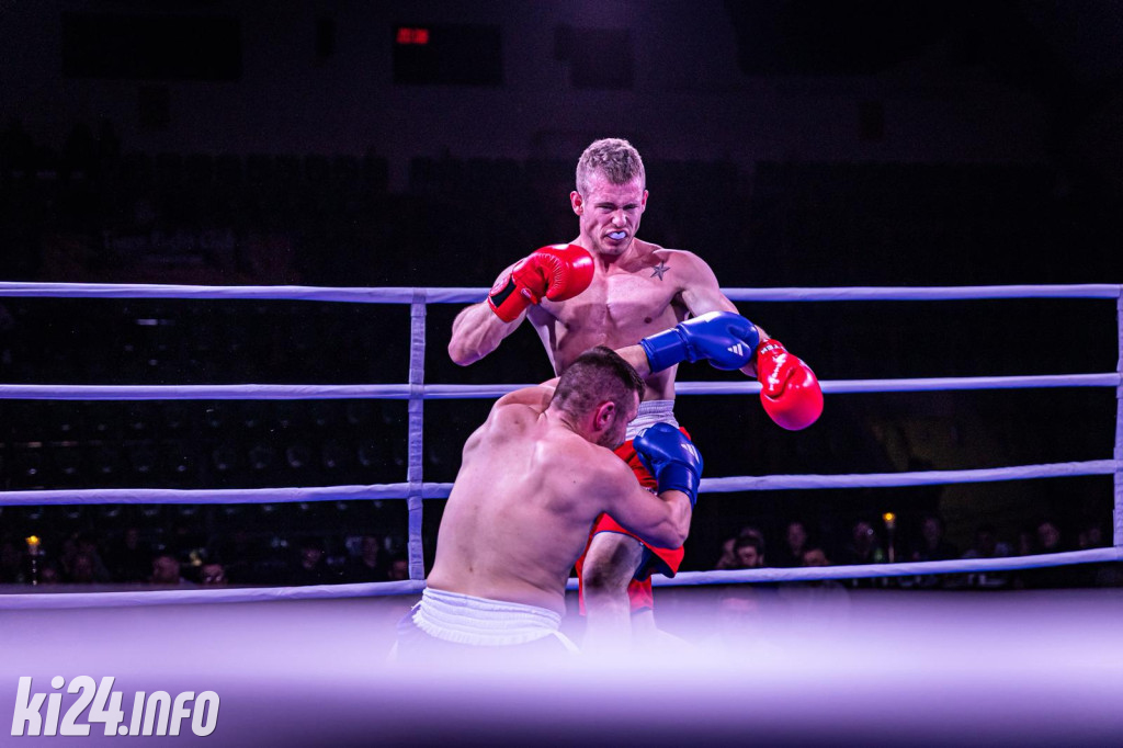 Tiger Fight Cup vol. I