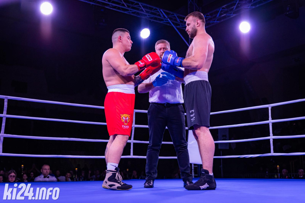 Tiger Fight Cup vol. I