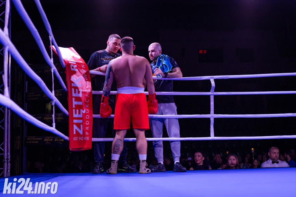 Tiger Fight Cup vol. I