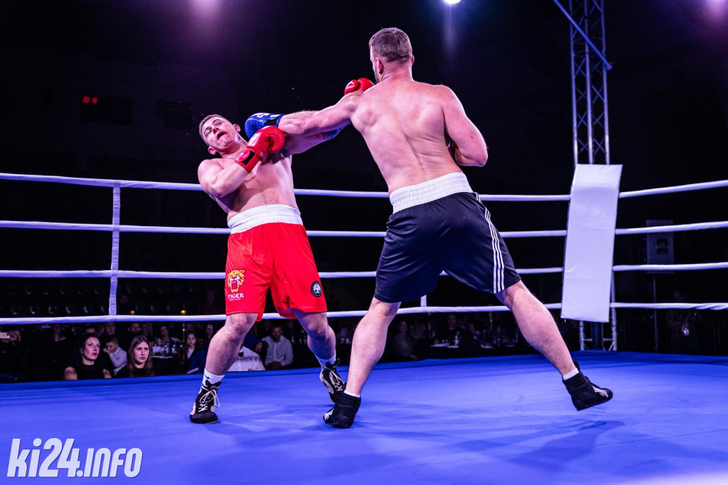 Tiger Fight Cup vol. I