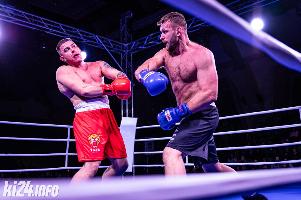 Tiger Fight Cup vol. I