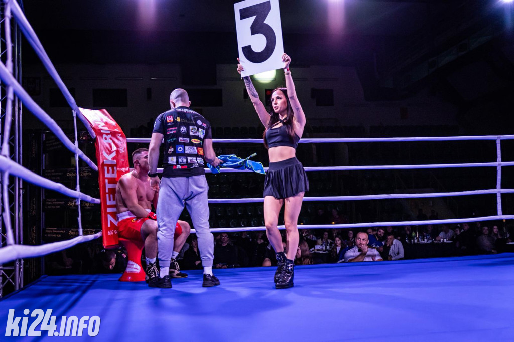 Tiger Fight Cup vol. I