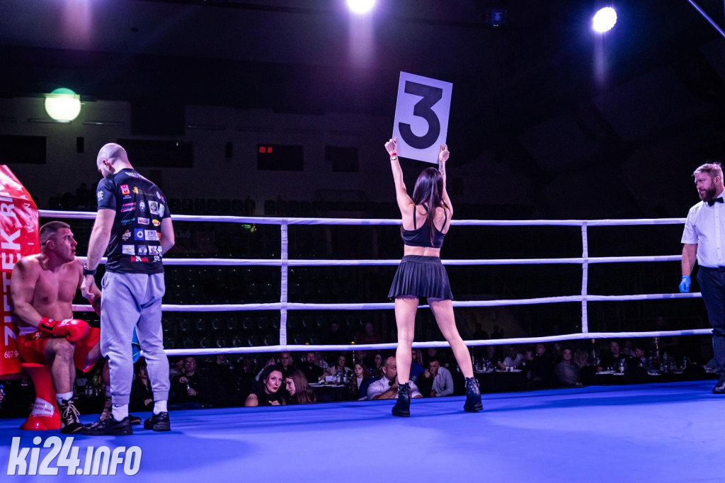 Tiger Fight Cup vol. I
