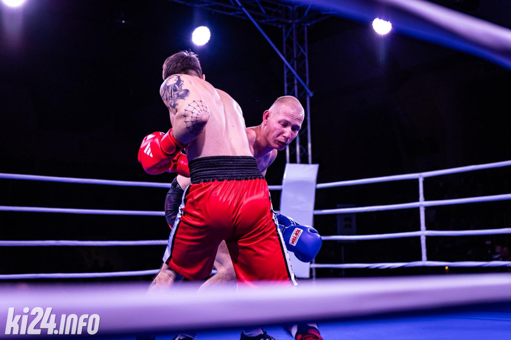 Tiger Fight Cup vol. I