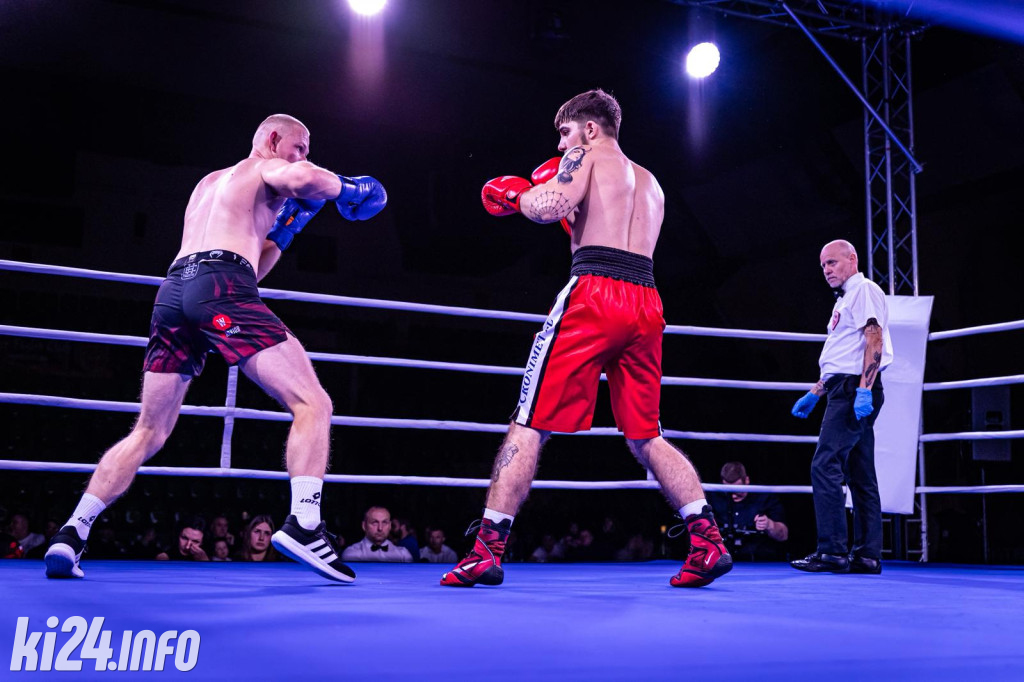 Tiger Fight Cup vol. I