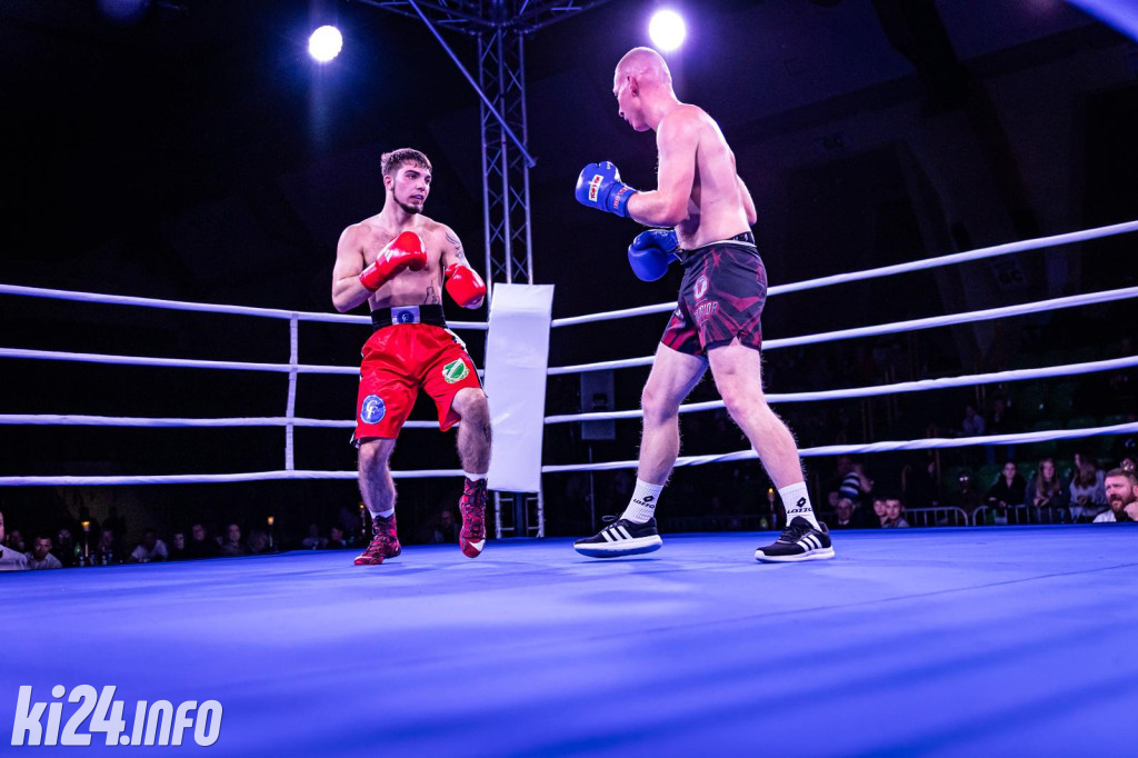 Tiger Fight Cup vol. I