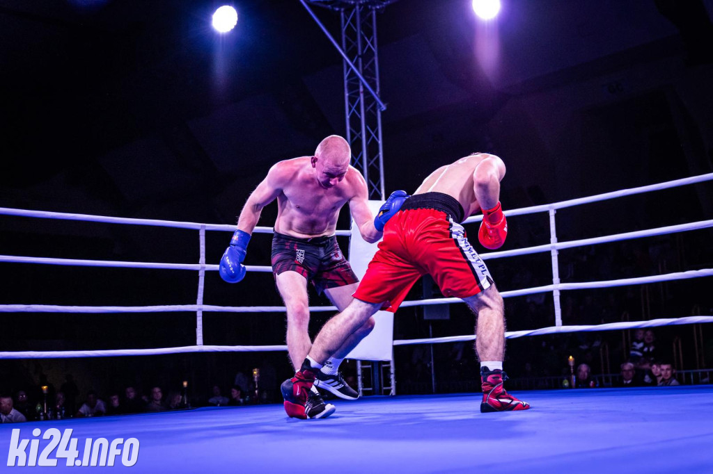 Tiger Fight Cup vol. I