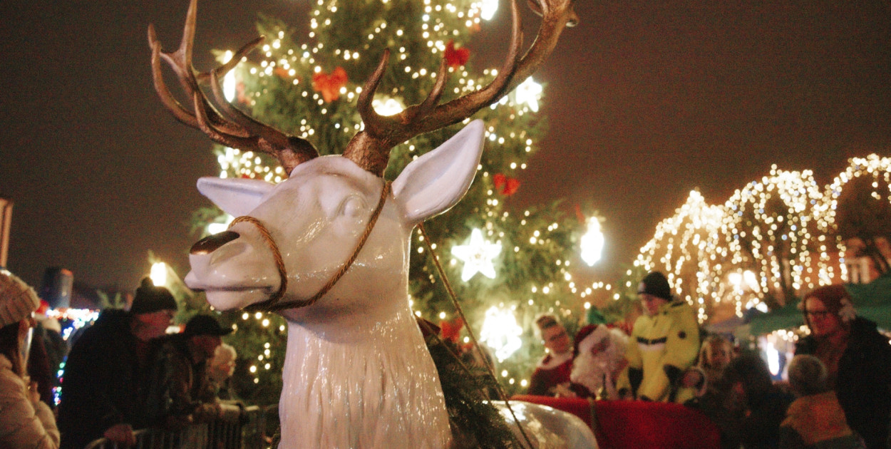 GNIEWKOWO - Jarmark Bożonarodzeniowy