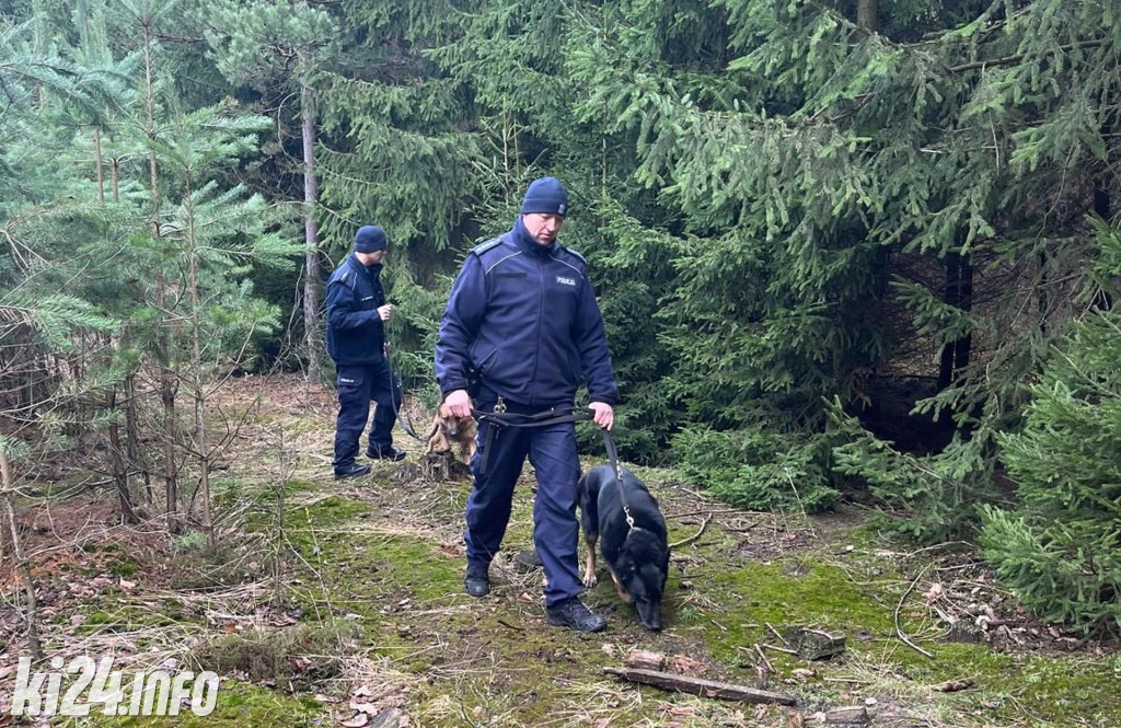 Policyjne patrole w lasach